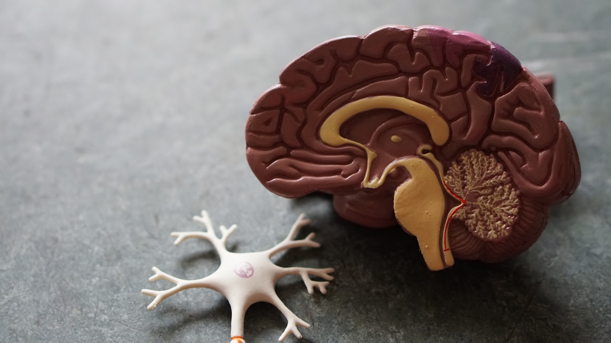 Generalized Anxiety Disorder (GAD): The Comprehensive Guide to Understanding and Recovery